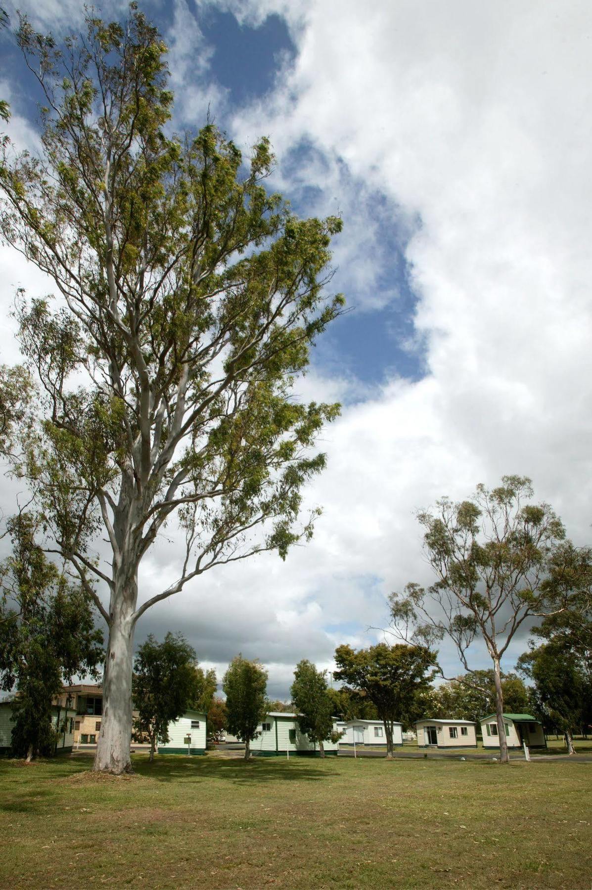 Discovery Parks - Casino Bagian luar foto